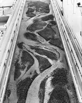 Research model of braided river